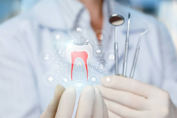Dental X-Rays and Imaging in Logan Elm Village, OH